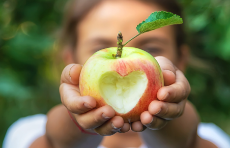 En liten jente holder et eple i hendene og strekker det mot kamera.