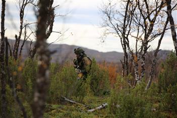 Lenke til artikkel: Rekvisjon i forbindelse med militærøvelse