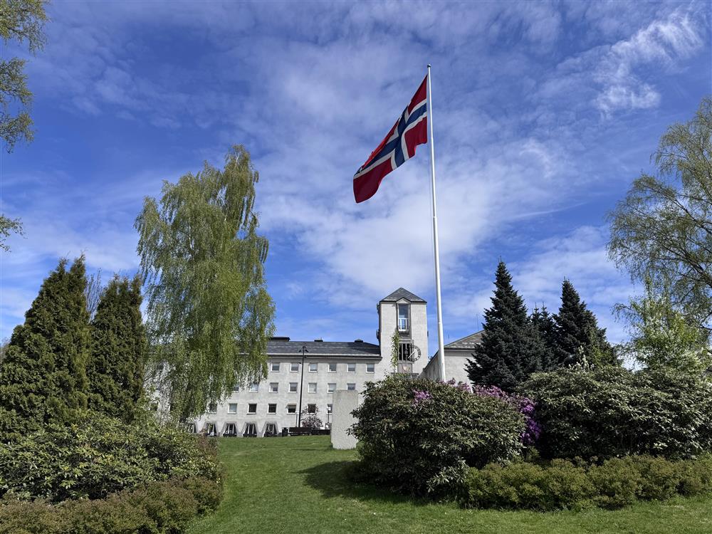 Flagg vaier i vinden i en park, med en murbygning i bakgrunnen. - Klikk for stort bilde